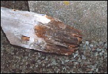 Rotten wood repairs